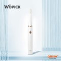 ������ ���� ����ĩ�� WO-100W